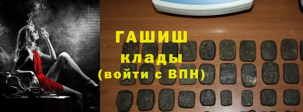 2c-b Бородино
